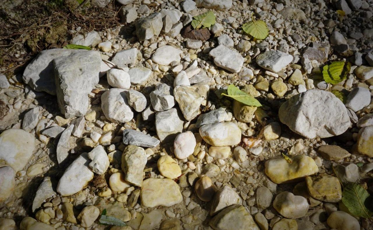 Apartma Židan Kranjska Gora Bagian luar foto